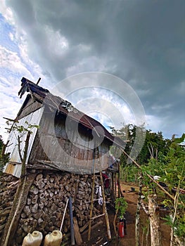 house on stilts in a coffee plantation in pagar alam, Ã¢â¬â¹Ã¢â¬â¹South Sumatra photo